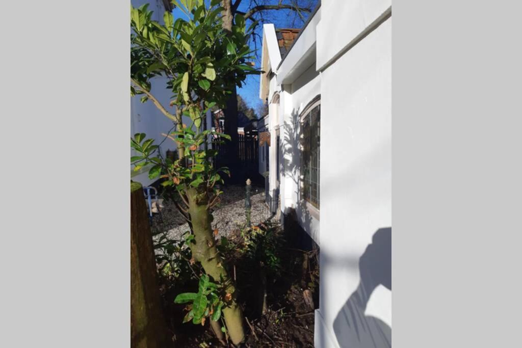 Apartamento Oranjerie, 7 Km Onder Groningen Paterswolde Exterior foto